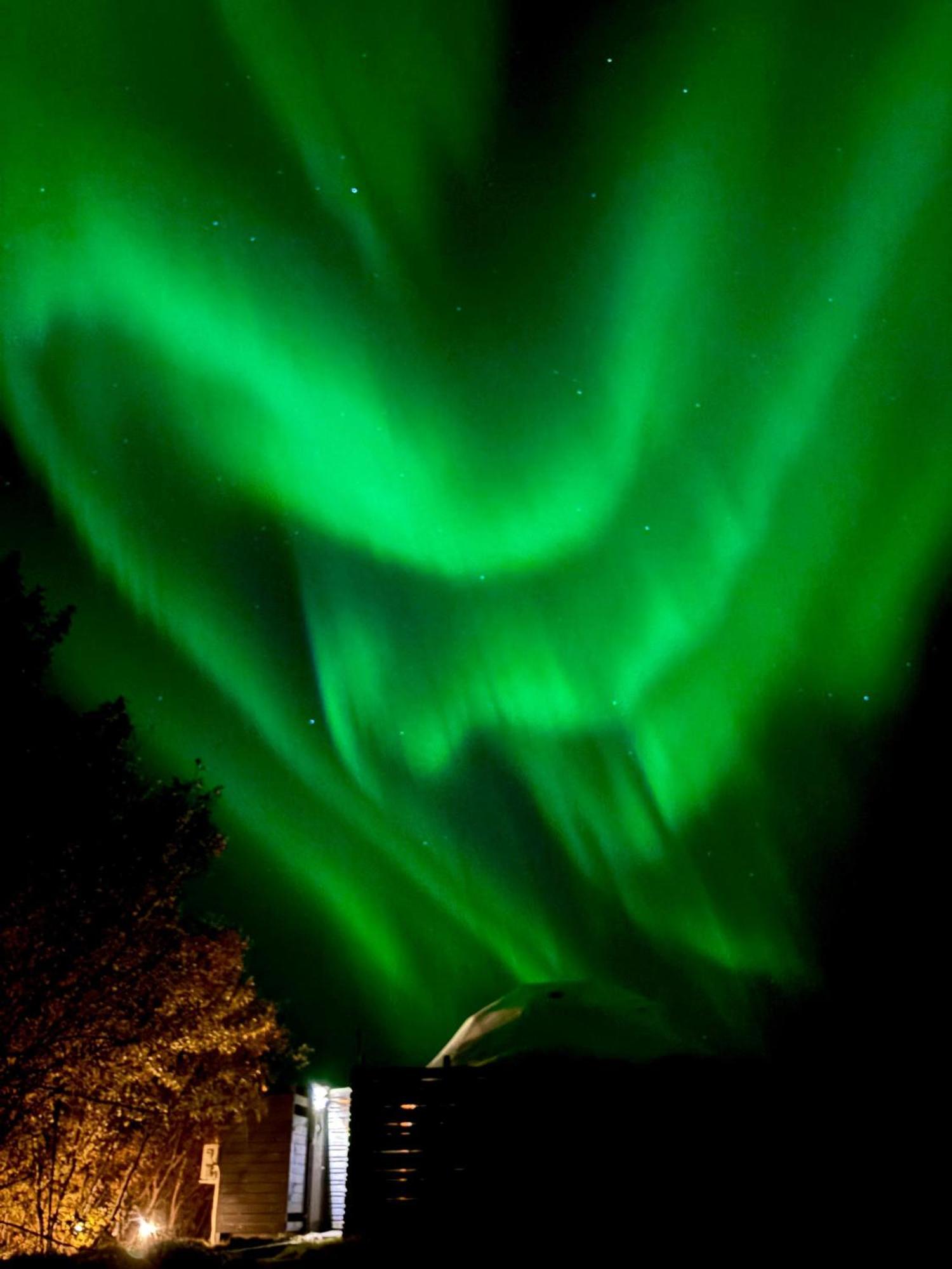 Aurora Dome - South Coast Iceland Hvolsvöllur Exterior foto